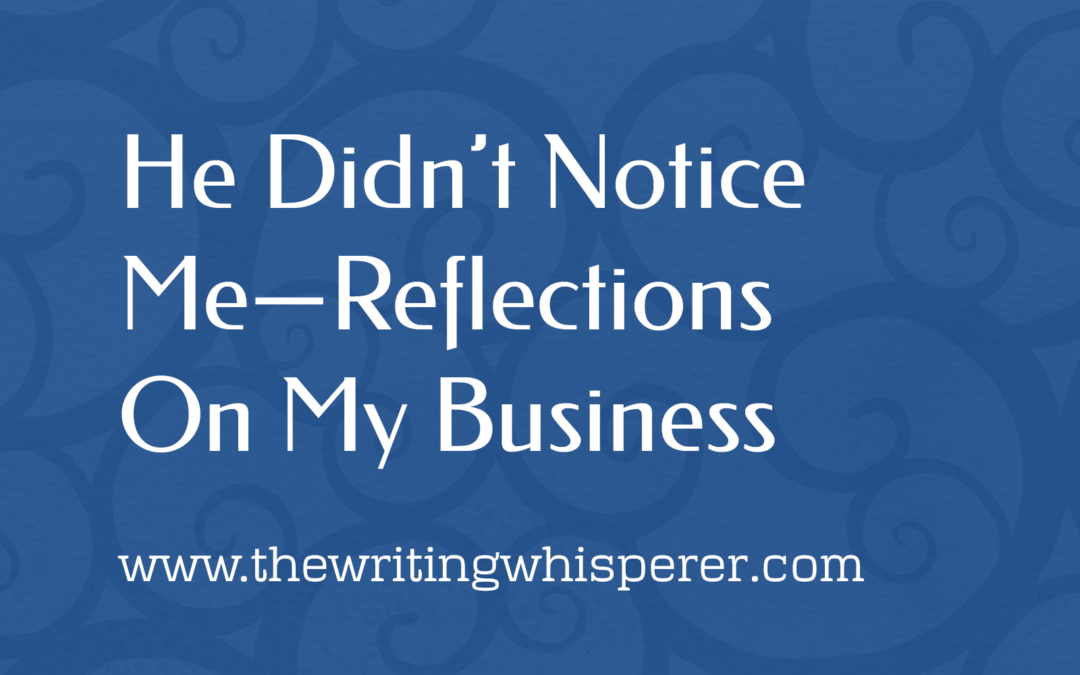 He Didn’t Notice Me–Reflections On My Business