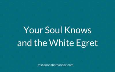 Your Soul Knows and the White Egret