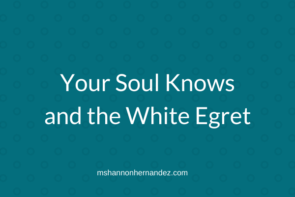 Your Soul Knows and the White Egret