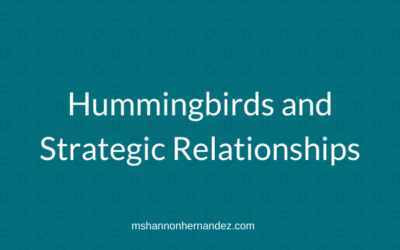 Hummingbirds and Strategic Relationships