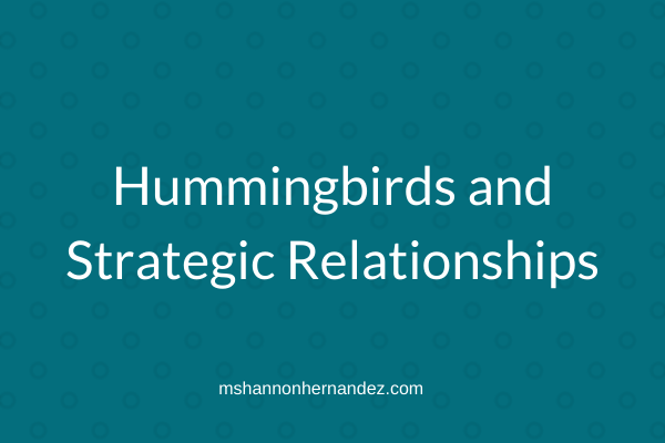 Hummingbirds and Strategic Relationships