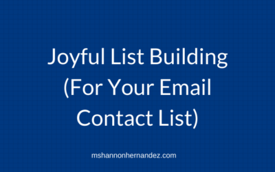 Episode 19: Joyful List Building