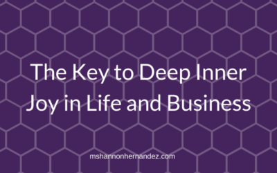 Episode 21: The Key to Deep Inner Joy in Life and Business