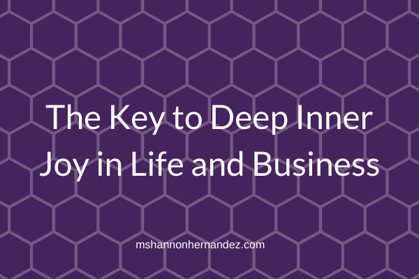 Episode 21: The Key to Deep Inner Joy in Life and Business