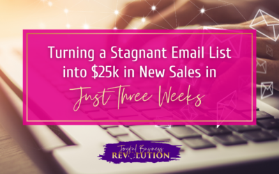 Turning a Stagnant Email List into $25k in New Sales in Just Three Weeks