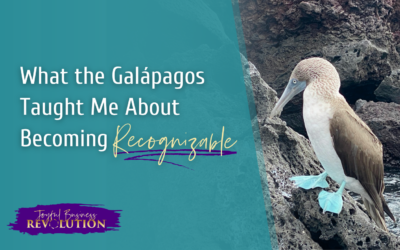 What the Galápagos Taught Me About Becoming Recognizable